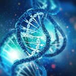 DNA细胞基因模型