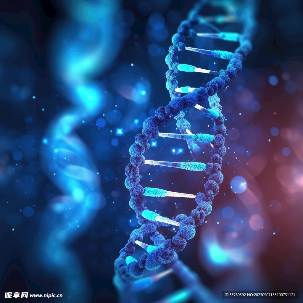 DNA细胞基因模型