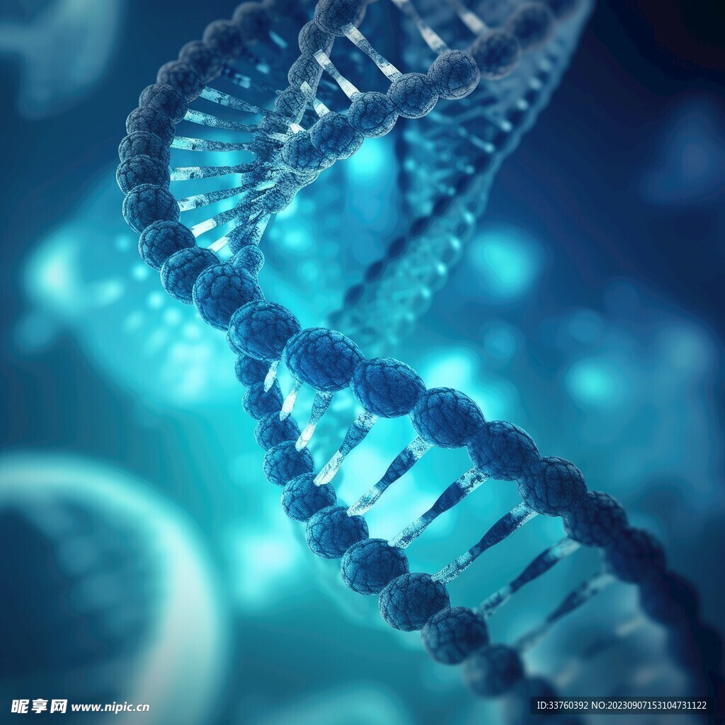 DNA细胞基因模型
