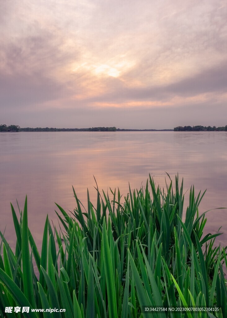 湖边草丛风景