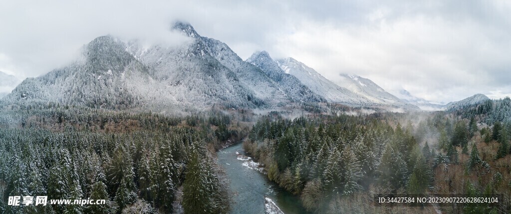 雪山树林风景