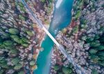 航拍树林河流和公路