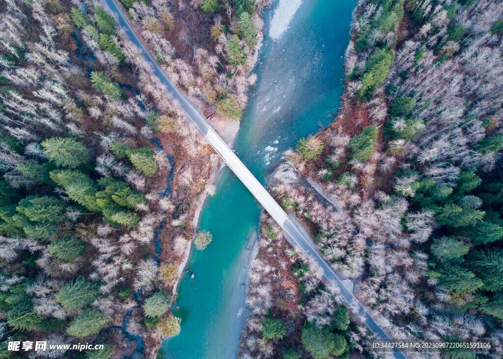 航拍树林河流和公路