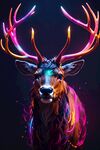梦幻麋鹿