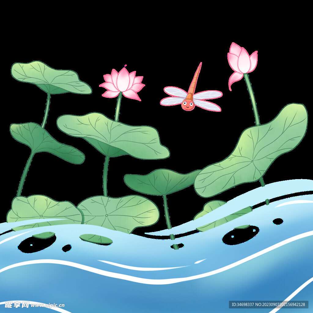 荷花蜻蜓