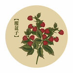 覆盆子