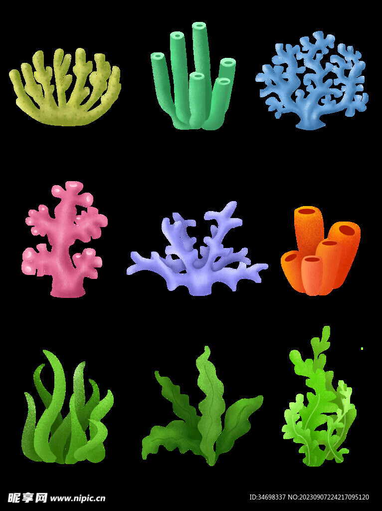 珊瑚合集