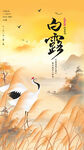白露