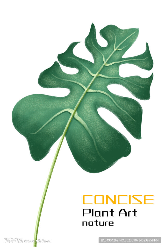 绿植装饰画