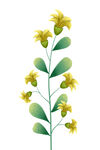 绿植装饰画