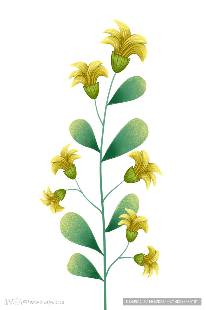 绿植装饰画