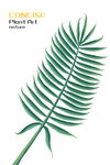 绿植装饰画