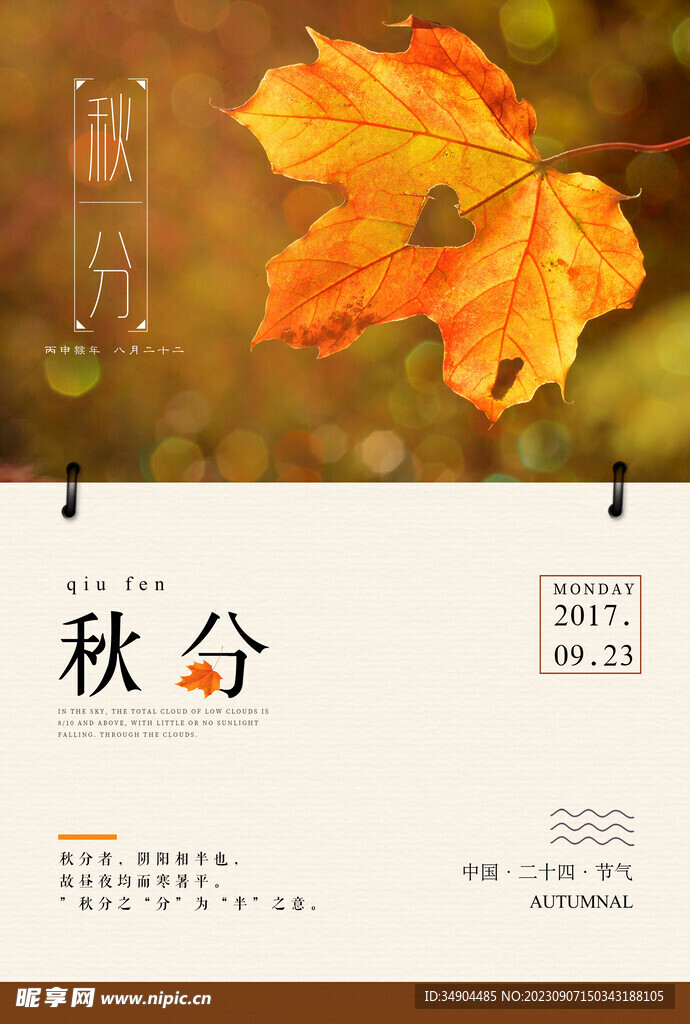 清新文艺24节气秋分传统节日