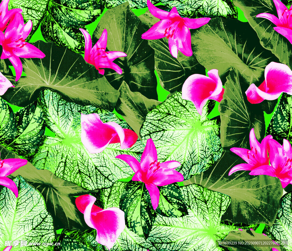 热带花