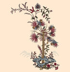 定位花