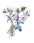 定位花