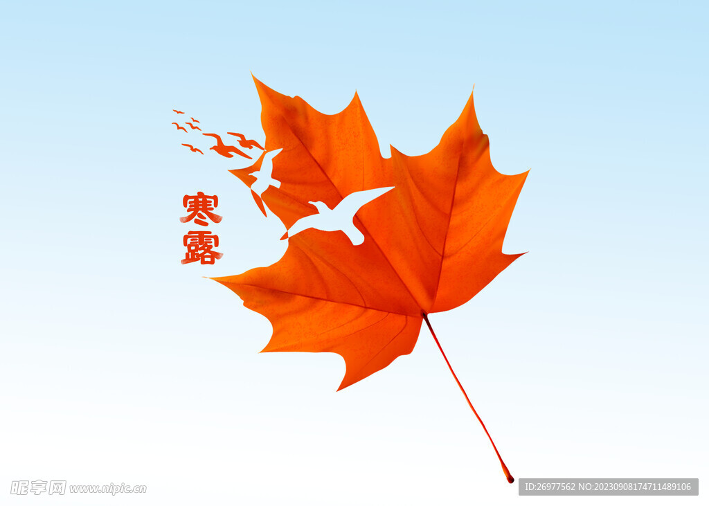  寒露 