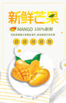 新鲜芒果