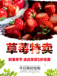草莓特卖