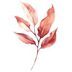枫叶水彩插画