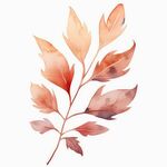 枫叶水彩插画