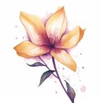 花朵水彩插画