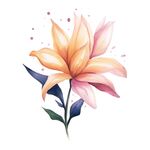 花朵水彩插画