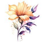 花朵水彩插画