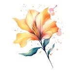 花朵水彩插画