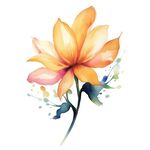 花朵水彩插画