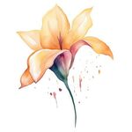 花朵水彩插画
