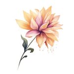 花朵水彩插画