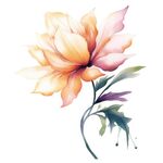 花朵水彩插画