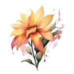 花朵水彩插画