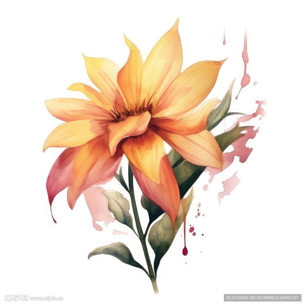 花朵水彩插画