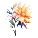 花朵水彩插画