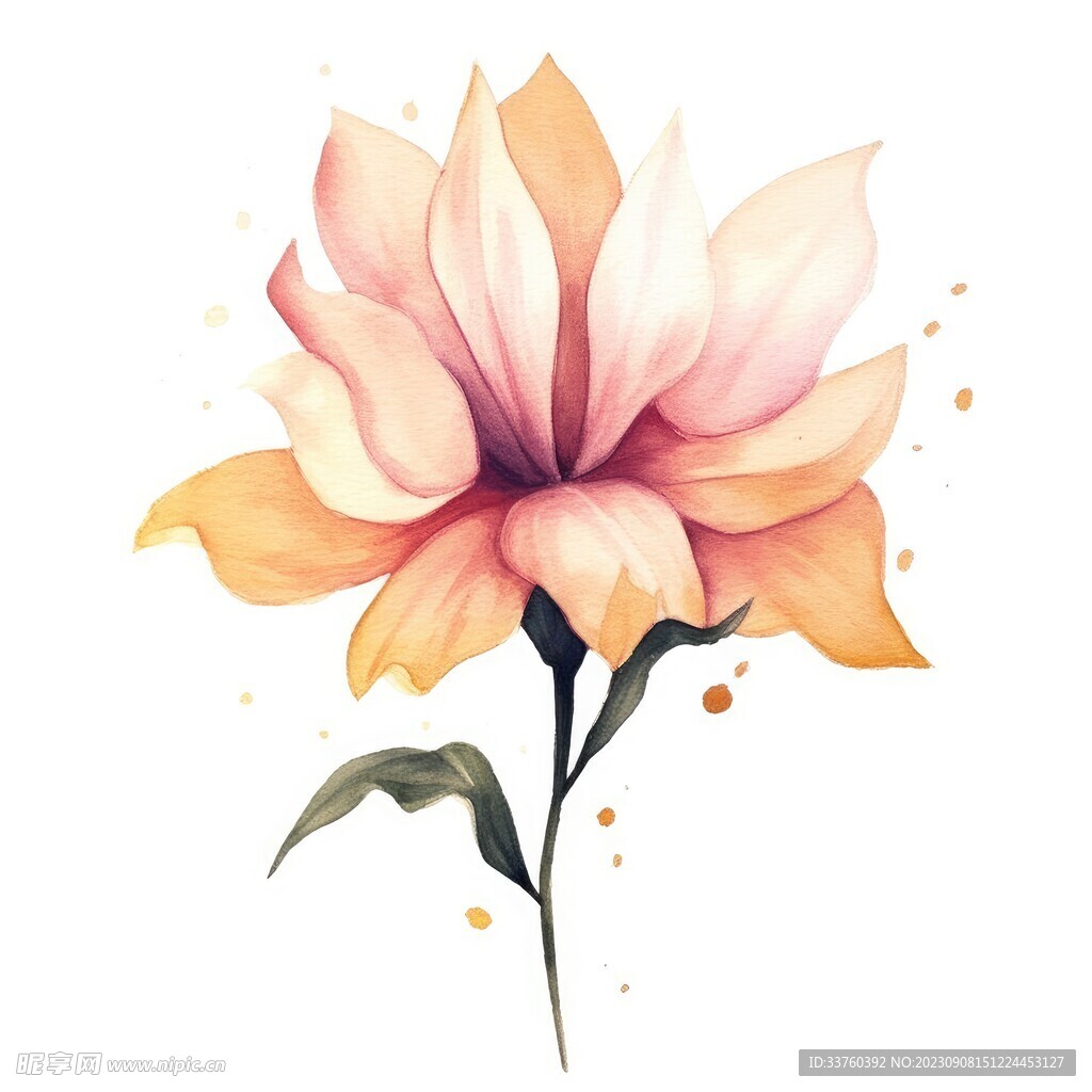 花朵水彩插画