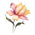 花朵水彩插画