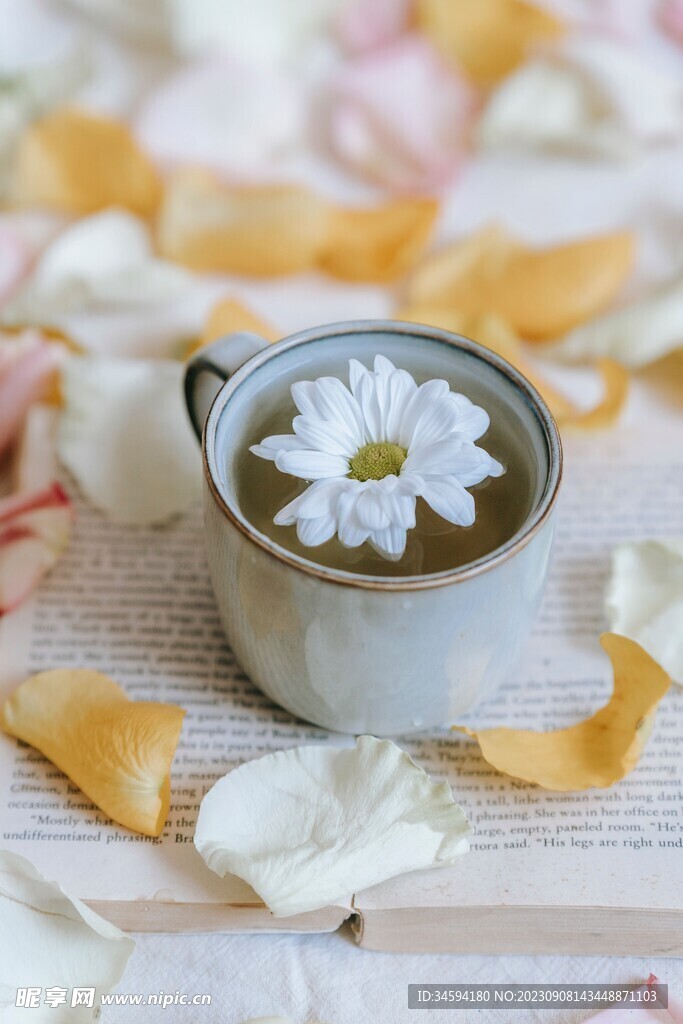 书本花瓣茶杯中花