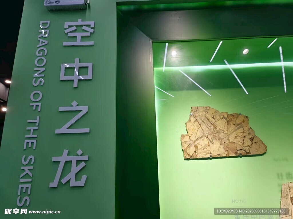 空中之龙