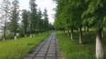 公园美景