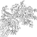 花鸟白描