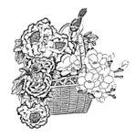 花鸟白描