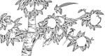 花鸟白描