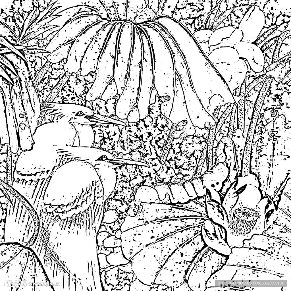 花鸟白描