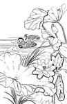 花鸟白描