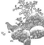 花鸟白描
