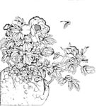 花鸟