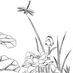 花鸟白描