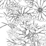 花鸟